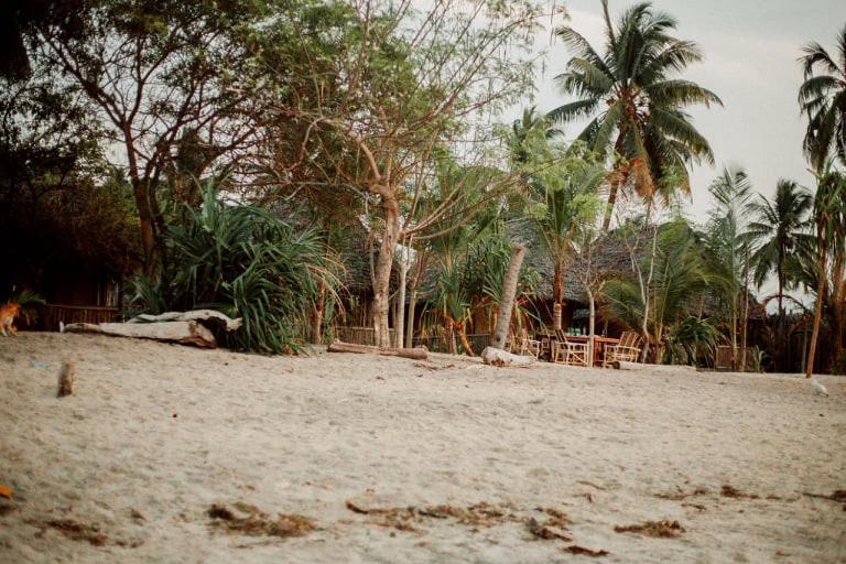 Ushongo Beach Bandas Pangani المظهر الخارجي الصورة