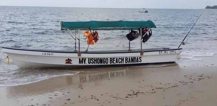 Ushongo Beach Bandas Pangani المظهر الخارجي الصورة