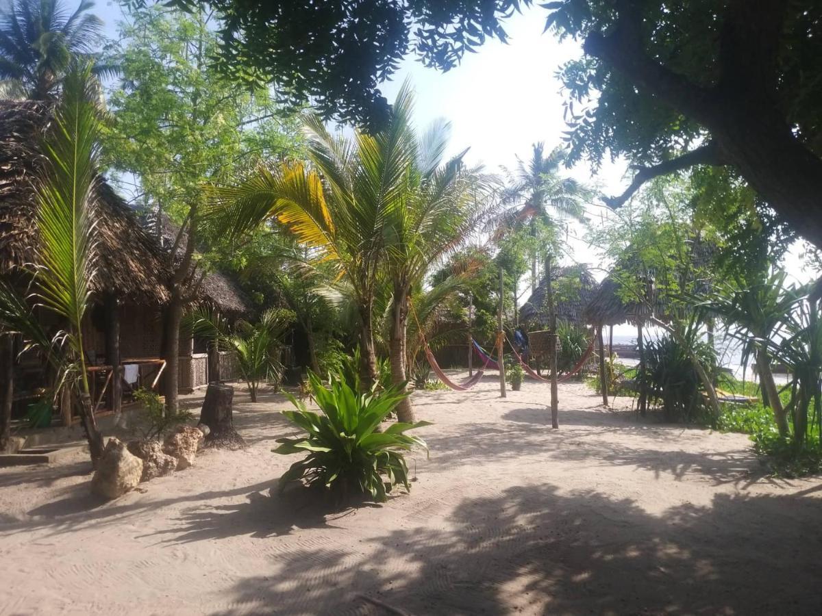 Ushongo Beach Bandas Pangani المظهر الخارجي الصورة