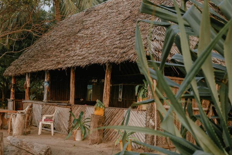 Ushongo Beach Bandas Pangani المظهر الخارجي الصورة