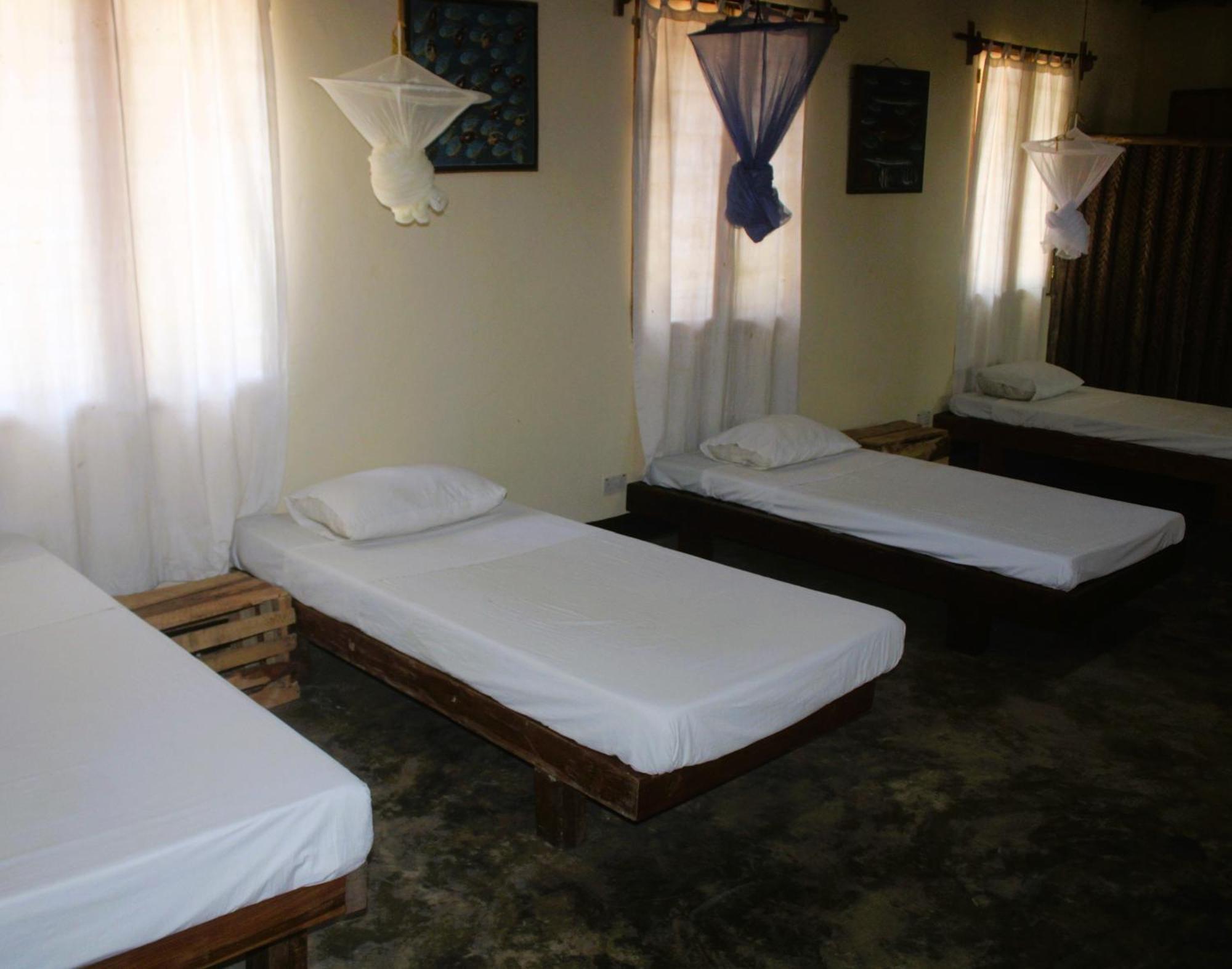 Ushongo Beach Bandas Pangani المظهر الخارجي الصورة